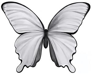 پوستر دیواری سه بعدی پروانه سفید تک رنگ مینیمال ویژه دکوراسیون پذیرایی و اتاق خواب‌های مدرن