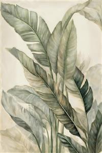 طرح نقاشی آبرنگی برگ‌های موز بزرگ با تناژ سبز زیتونی ملایم ویژه کاغذ دیواری پذیرایی و تالار لابی