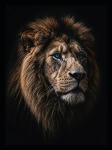 تصویر هنری چهره شیر با چشمان آبی خیره‌کننده ویژه پوستر دیواری سالن بدنسازی و اتاق مدیریت