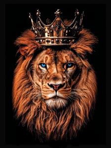 طرح لوکس چهره شیر با تاج پادشاهی طلا ویژه پوستر دیواری پشت تخت و دکوراسیون دفاتر تجاری خاص
