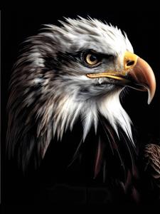طرح نقاشی دیجیتال سر عقاب با نگاه نافذ و پس‌زمینه مشکی ویژه پوستر دیواری سه بعدی اتاق کار، گیم‌نت، شرکت‌های مهندسی و چاپ روی هودی و ماگ