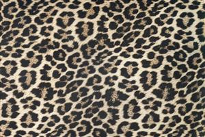 پوستر دیواری با طرح پوست پلنگ وحشی مناسب دکوراسیون بوتیک و مزون‌های لباس لوکس