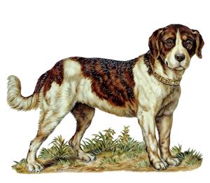 لوگوی عرق سگی قدیمی تصویر کلاسیک سگ شکاری با قلاده طلا ویژه تابلو دکوراتیو اتاق نشیمن و پوستر دیواری ویلا