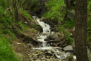 آبشار زیبا در طبیعت جنگل تابستانی طبیعت ایران