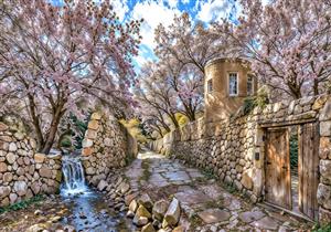 کوچه باغ رویایی با دیوارهای سنگی و درختان پرشکوفه صورتی مخصوص پوستر دیواری لابی هتل و تالارهای مجلل