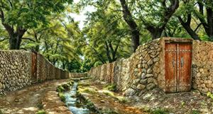 تصویر رویایی کوچه باغ ایرانی با جوی آب و درختان سرسبز ویژه پوستر دیواری پذیرایی و دیوارپوش تالار و ویلا