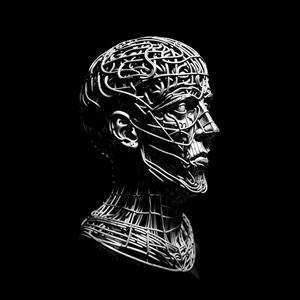 طرح سه بعدی سر انسان با ساختار شبکه‌ای و مهندسی مناسب برای پوستر دیواری مراکز علمی، کلینیک‌ها و دفاتر استارتاپی