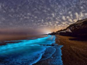 تصویر خیره‌کننده فیتوپلانکتون‌های درخشان در ساحل شبانه برای پوستر دیواری خاص و اتاق گیمینگ