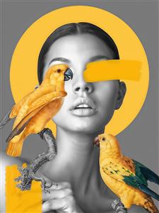 طرح مدرن چهره زن و طوطی‌های زرد روی شاخه برای پوستر دیواری پذیرایی و اتاق خواب مستر