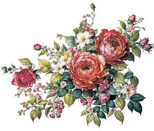نقاشی آنتیک دسته گل رز قرمز و صورتی با برگ‌های سبز تیره ایده آل برای پوستر دیواری کلاسیک اتاق پذیرایی و چاپ روتختی