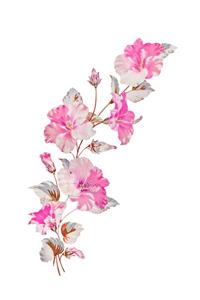 شاخه گل آبرنگی با تناژ صورتی و سفید ویژه چاپ روی پرده‌های پارچه‌ای و ملحفه اتاق خواب مستر