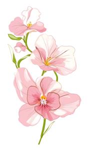 وکتور گل‌های ختمی صورتی با ساقه سبز در پس‌زمینه سفید مناسب برای چاپ پرده، کوسن و دفترچه‌های فانتزی