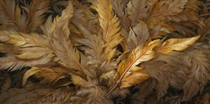 تصویر باکیفیت پرهای طلایی و قهوه‌ای لوکس برای پوستر دیواری پشت تلویزیون و چاپ روی کوسن و محصولات نساجی