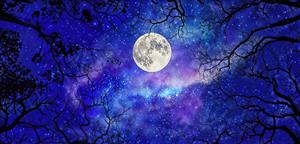 منظره کهکشانی و آسمان پر ستاره با قاب درختان کهن مناسب برای پوستر دیواری اتاق خواب و لابی هتل