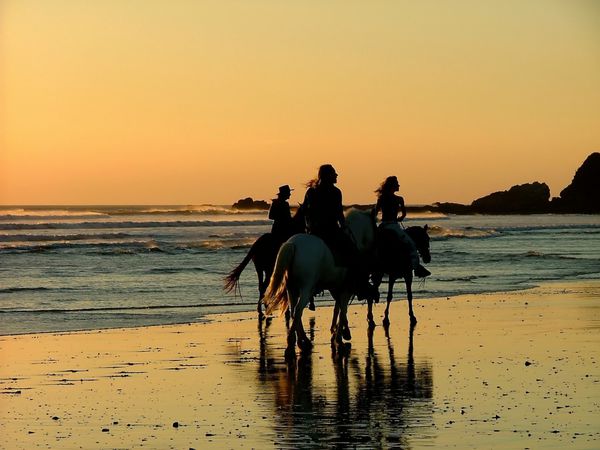 سه نفر اسب سواری در غروب آفتاب در ساحل
