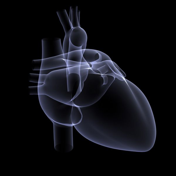 اشعه ایکس از قلب انسان - رندر سه بعدی