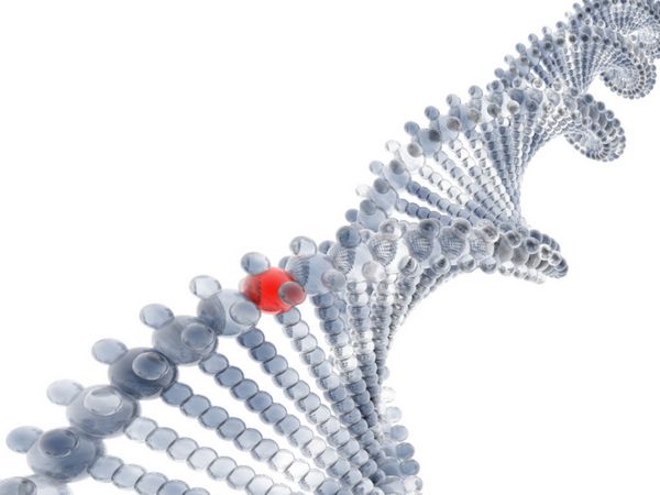 ژن قرمز متفاوت در DNA