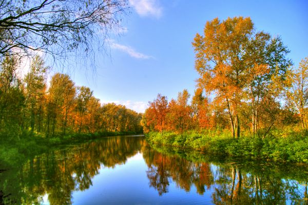 چشم انداز زیبای پاییزی از رودخانه و درختان و بوته های روشن - بهترین برای استفاده در وب
