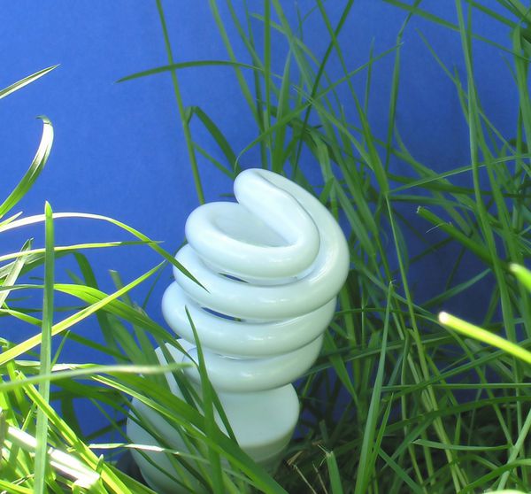 چراغ سبز تصویر نمادین لامپ صرفه جویی در انرژی زیست محیطی با صرفه جویی در مصرف انرژی باید آلودگی را کاهش داد شاید کاهش بسیار کمی باشد اما همچنان کاهش است
