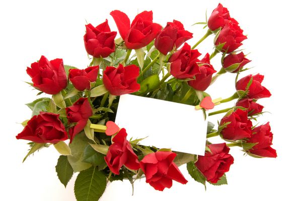 دسته گل رز قرمز زیبا با بلیط خالی جدا شده روی سفید