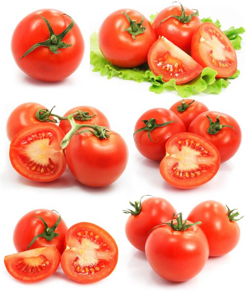 مجموعه میوه های سبزیجات گوجه فرنگی قرمز جدا شده در پس زمینه سفید