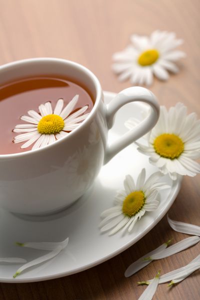 فنجان سفید چای گیاهی و گل بابونه