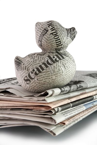اردک روزنامه روی یک پشته روزنامه