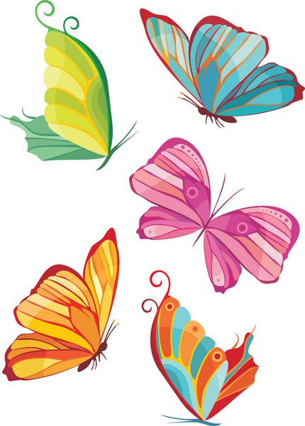 تصویر پروانه های رنگارنگ
