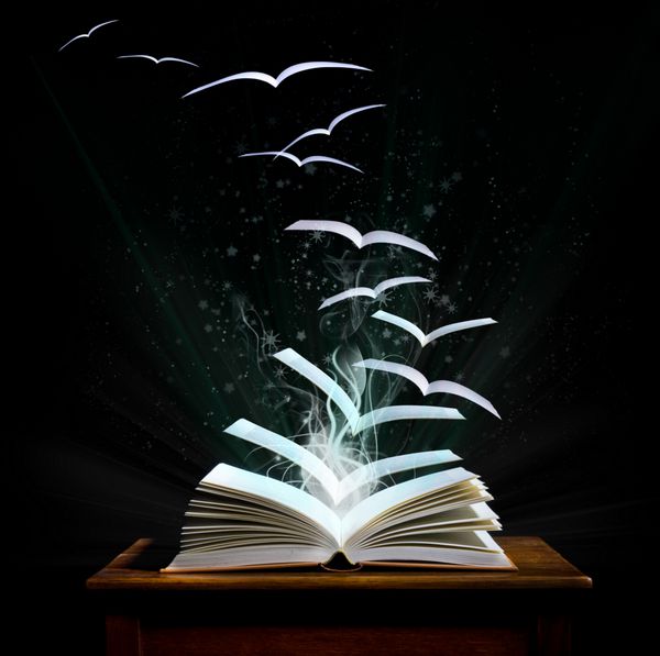 دنیای جادویی خواندن کتاب جادویی با صفحاتی که تبدیل به پرندگان می شوند