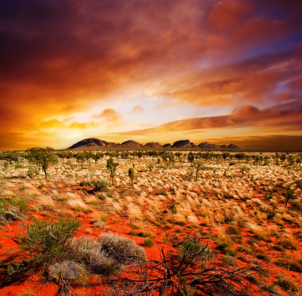 غروب خورشید بر فراز چشم انداز مرکزی استرالیا