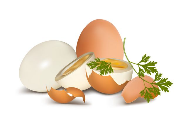 بردار تخم مرغ آب پز قهوه ای در زمینه سفید