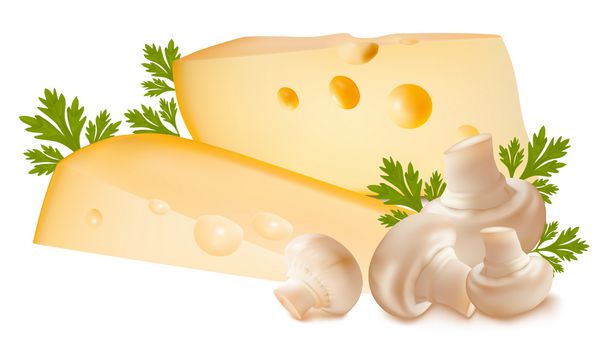 وکتور پنیر با قارچ