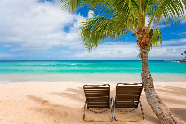 ساحل گرمسیری رمانتیک با درخت نخل و دو صندلی روی ماسه