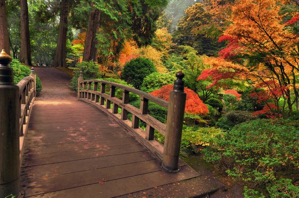 پل چوبی تاریخی در پارکی که در یک صبح مه آلود با رنگ‌های پاییزی احاطه شده است