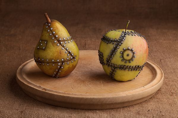 میوه دستکاری شده سیب و گلابی با ناخن هایی که آن را در کنار هم نگه داشته اند مفهوم اصلاح ژنتیکی GMO