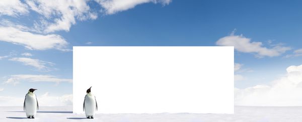 بیلبورد با دو پنگوئن در قطب جنوب