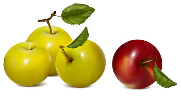 وکتور ست سیب قرمز و سبز