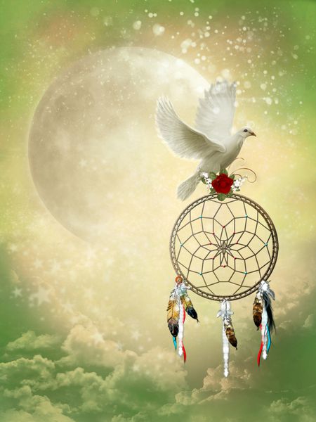 ماه فانتزی با یک کبوتر و یک رویاگیر