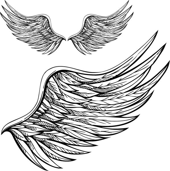 بال های فرشته کارتونی سیاه و سفید با دست کشیده شده است