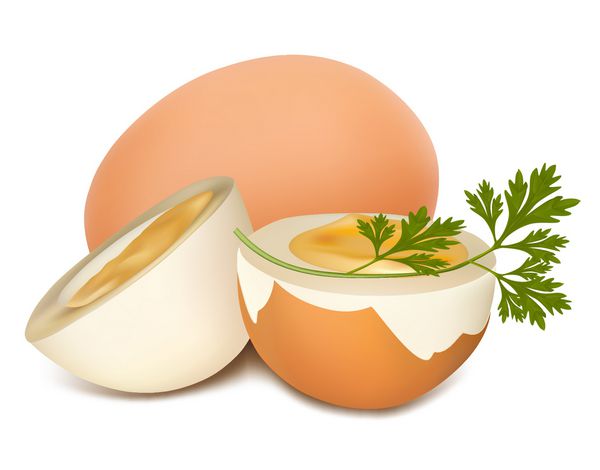 بردار تخم مرغ آب پز قهوه ای در زمینه سفید