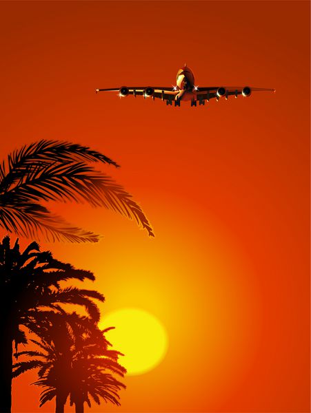 هواپیمای مسافربری در آسمان غروب خورشید