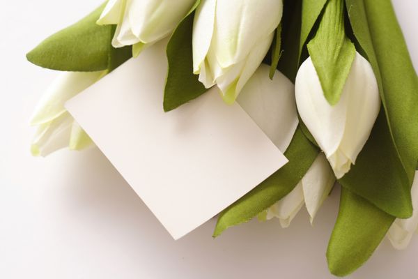 کارت خالی برای بهار عید پاک عروسی یا روز مادر با گل لاله
