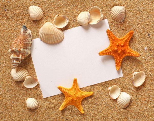 مفهوم ساحل تعطیلات با صدف ها ستاره های دریایی و یک کارت پستال خالی