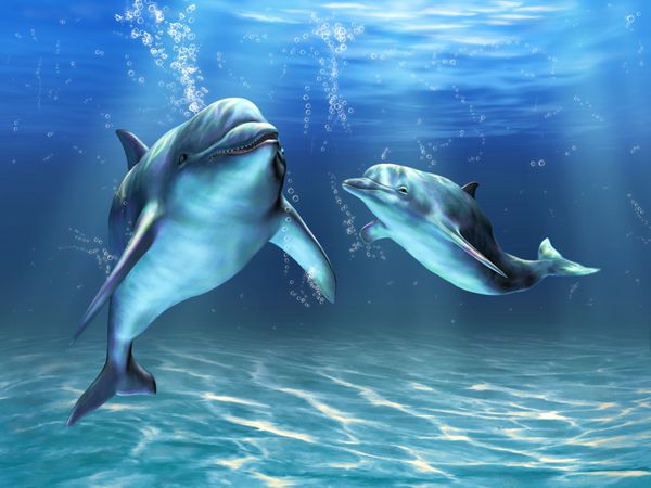دو دلفین با خوشحالی در اقیانوس شنا می کنند تصویرسازی دیجیتال