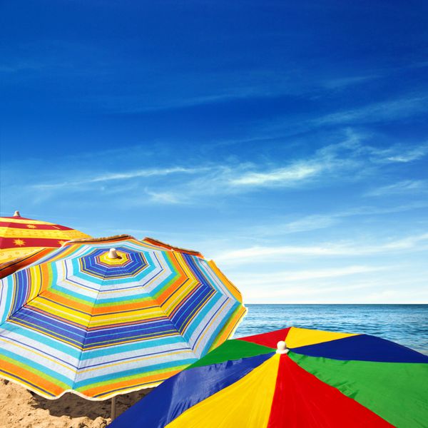 جزئیات آفتابگیرهای رنگارنگ در ساحل در یک روز تابستانی آفتابی