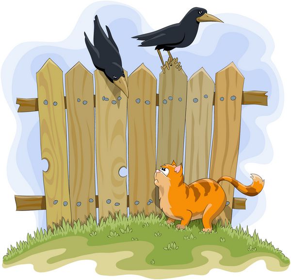 گربه قرمز و کلاغ در پس زمینه حصار