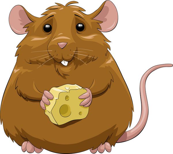 یک موش با یک تکه پنیر