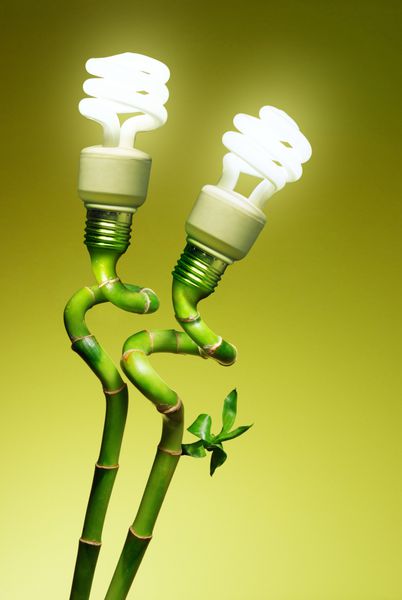 تصویر مفهومی از دو لامپ اقتصادی به عنوان گل در بالای عصای سبز