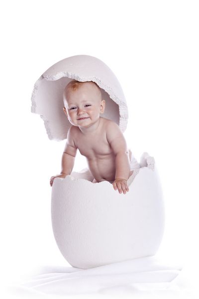 کودک در تخم مرغ در پس زمینه سفید
