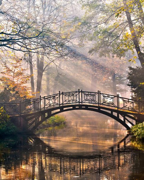 پل قدیمی در پارک مه آلود پاییز - HDR